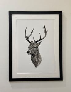 "Standing Stag" (Print)