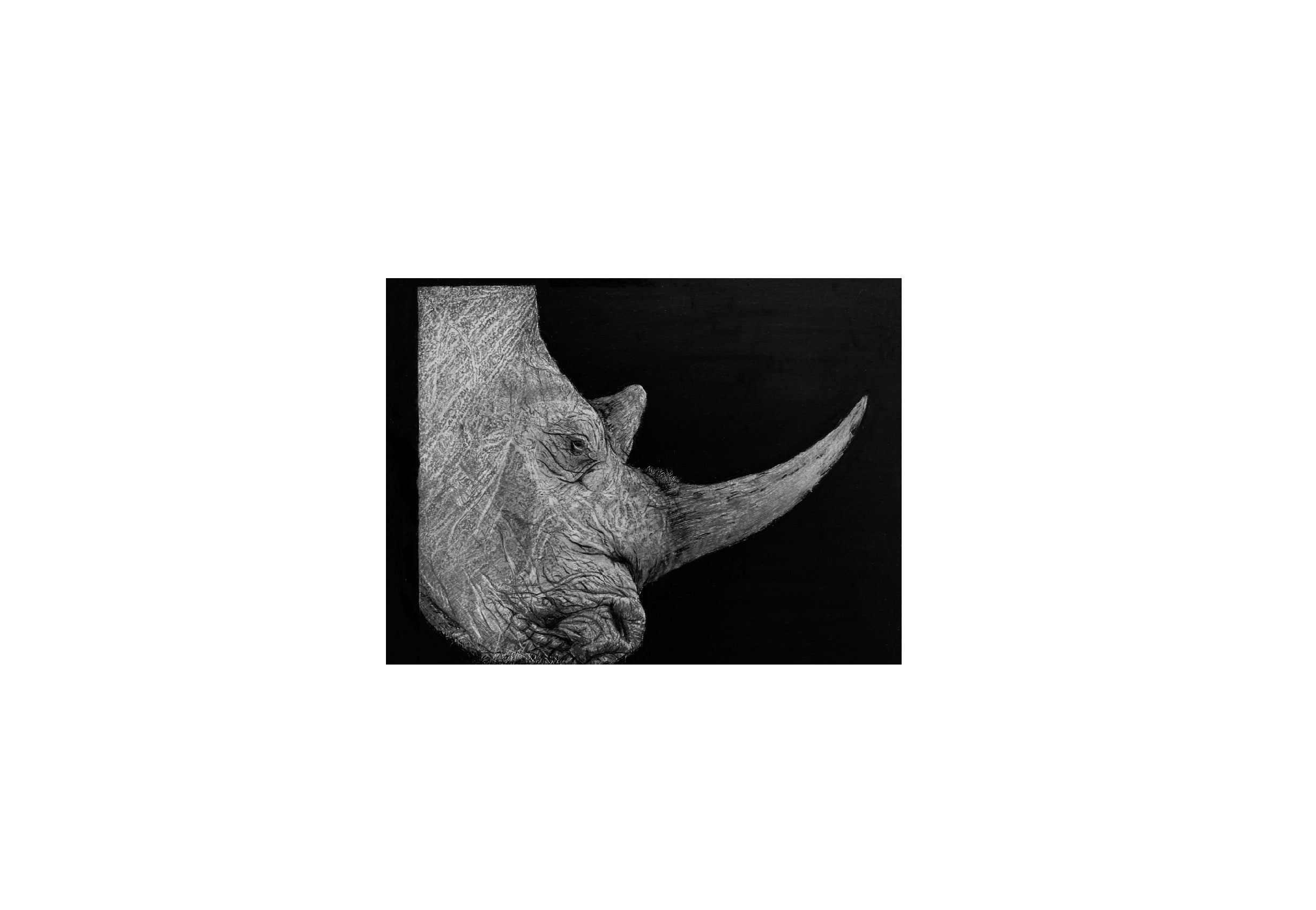 7 Facts You Didn't Know About Rhinos — Viatu, image size:2455x1698