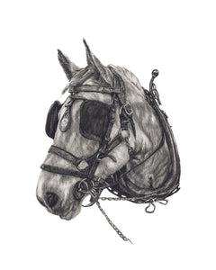 "Working Horse" (Print)